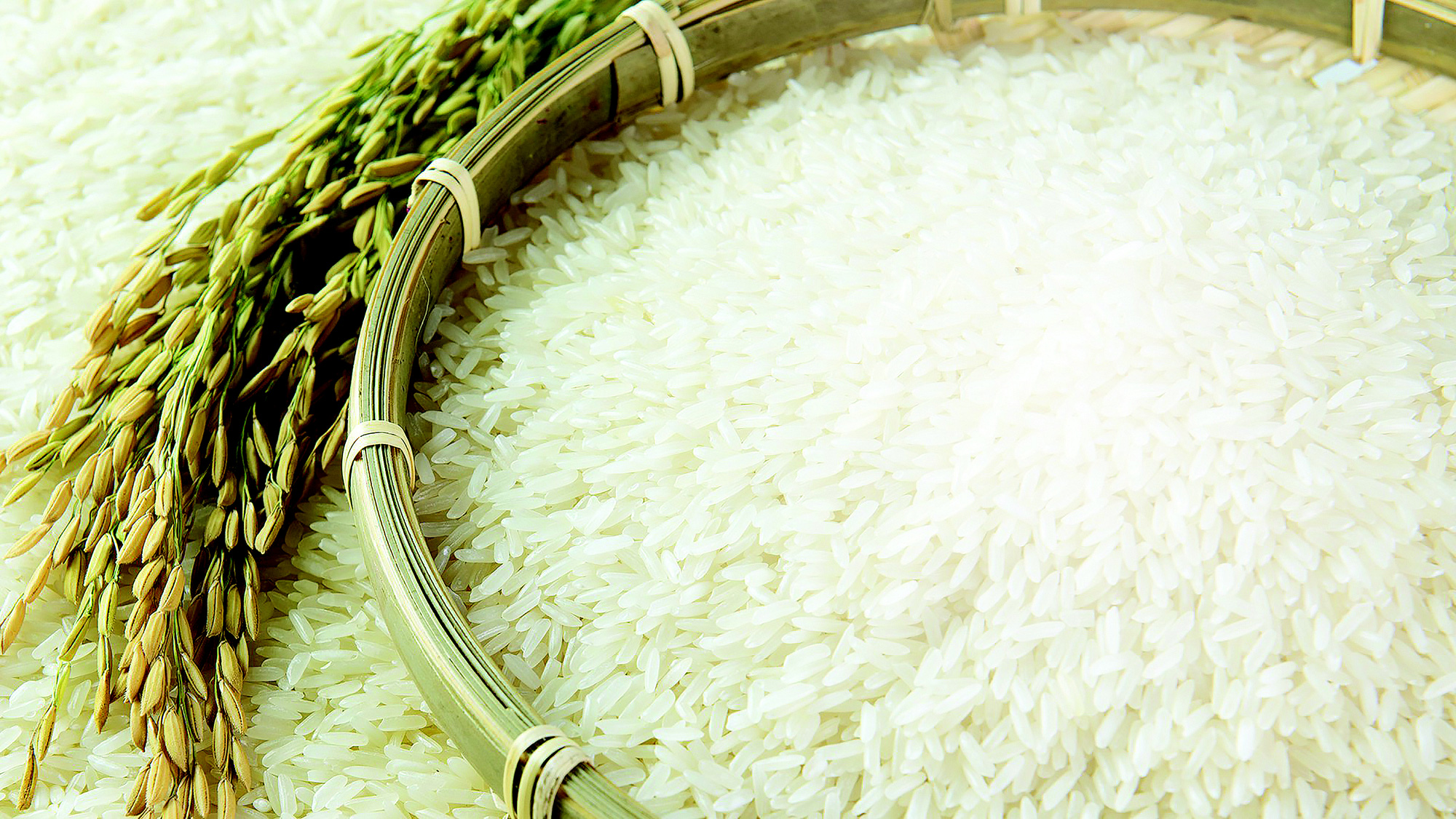 Bạn có phân biệt được gạo còn cám và gạo nguyên cám không?