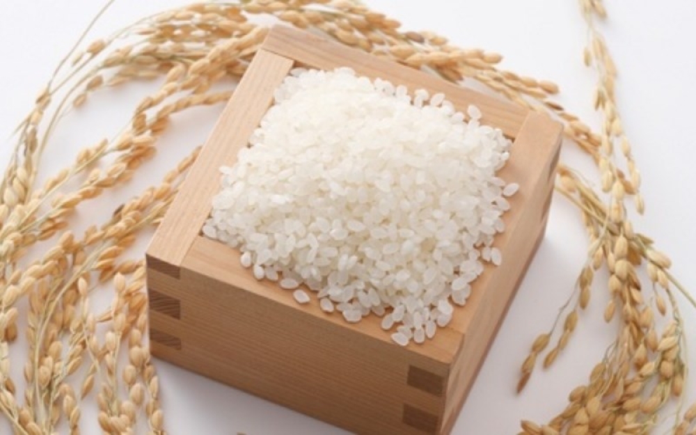 Hướng dẫn bảo quản gạo đúng cách
