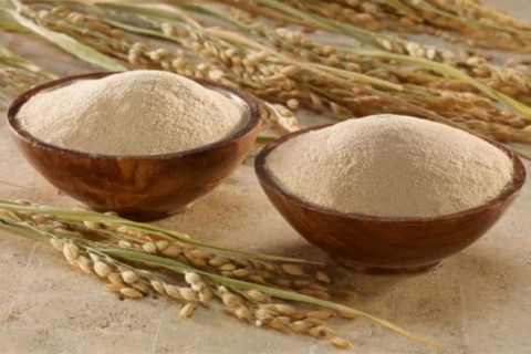 Thành phần dinh dưỡng có trong cám gạo