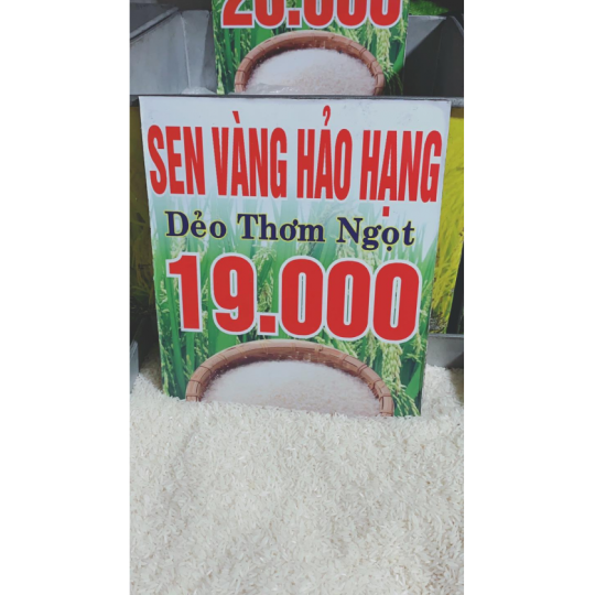 Gạo Sen Vàng Hảo Hạn