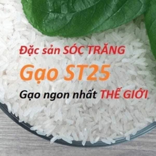 Gạo ST25 - Gạo Ông Cua